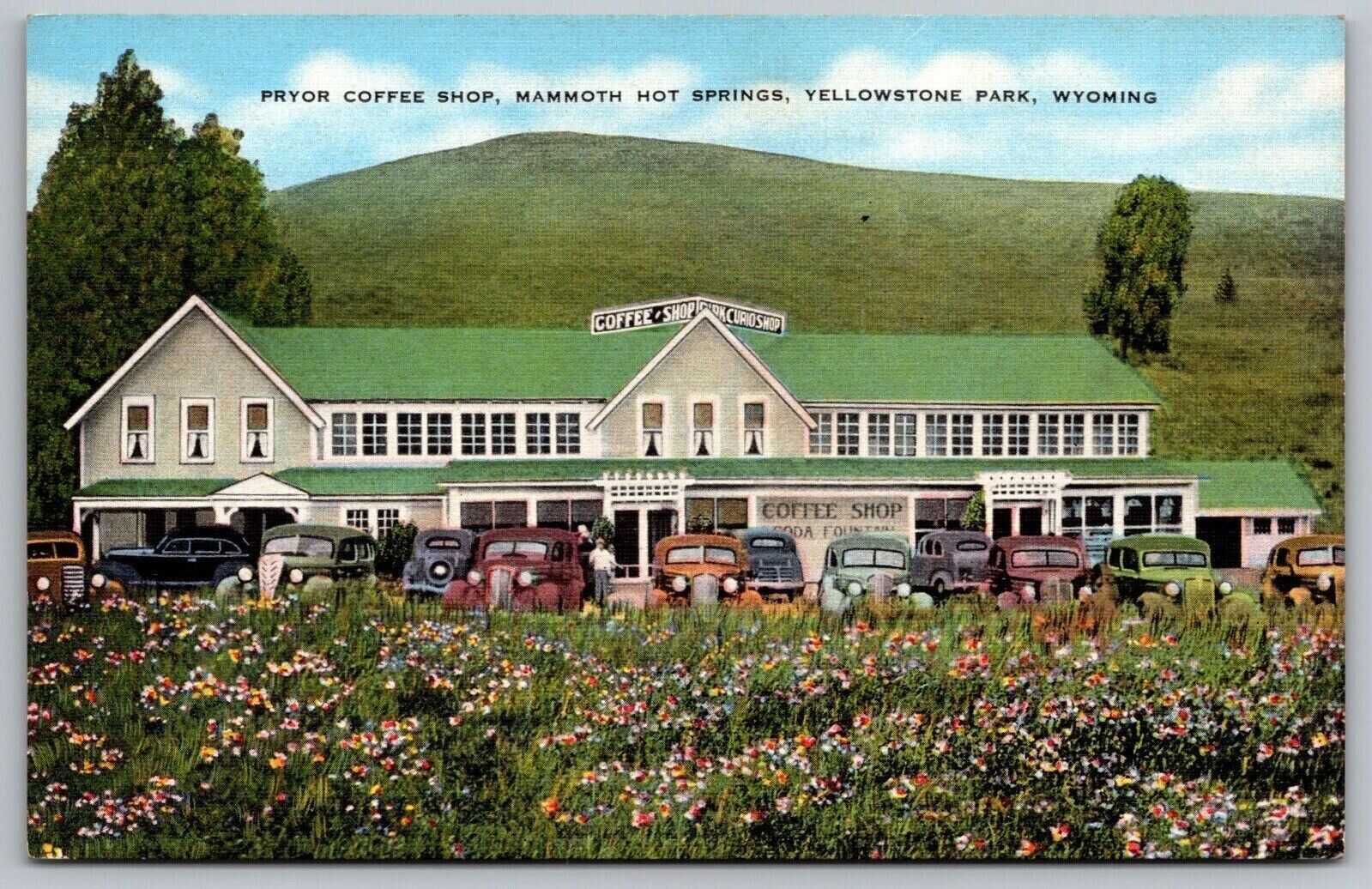 Pryor Coffee Shop Mammoth Hot Springs Yellowstone Park Wyoming Old Cars Postcard