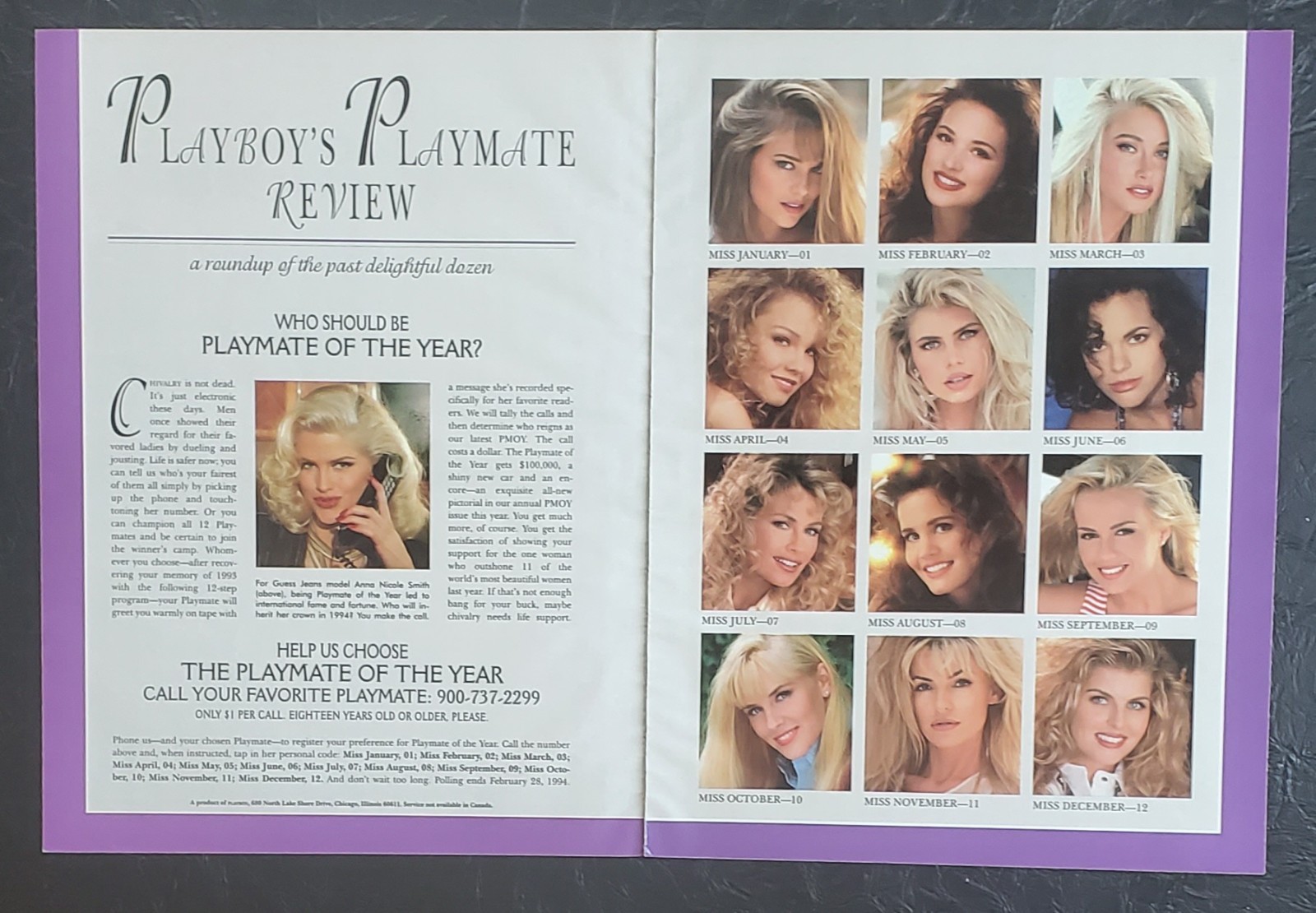 Playboy PICTORIAL ONLY - 1993 PLAYMATE REVIEW 12 pages Playboy PICTORIAL ONLY - 1993 PLAYMATE REVIEW 12 pages