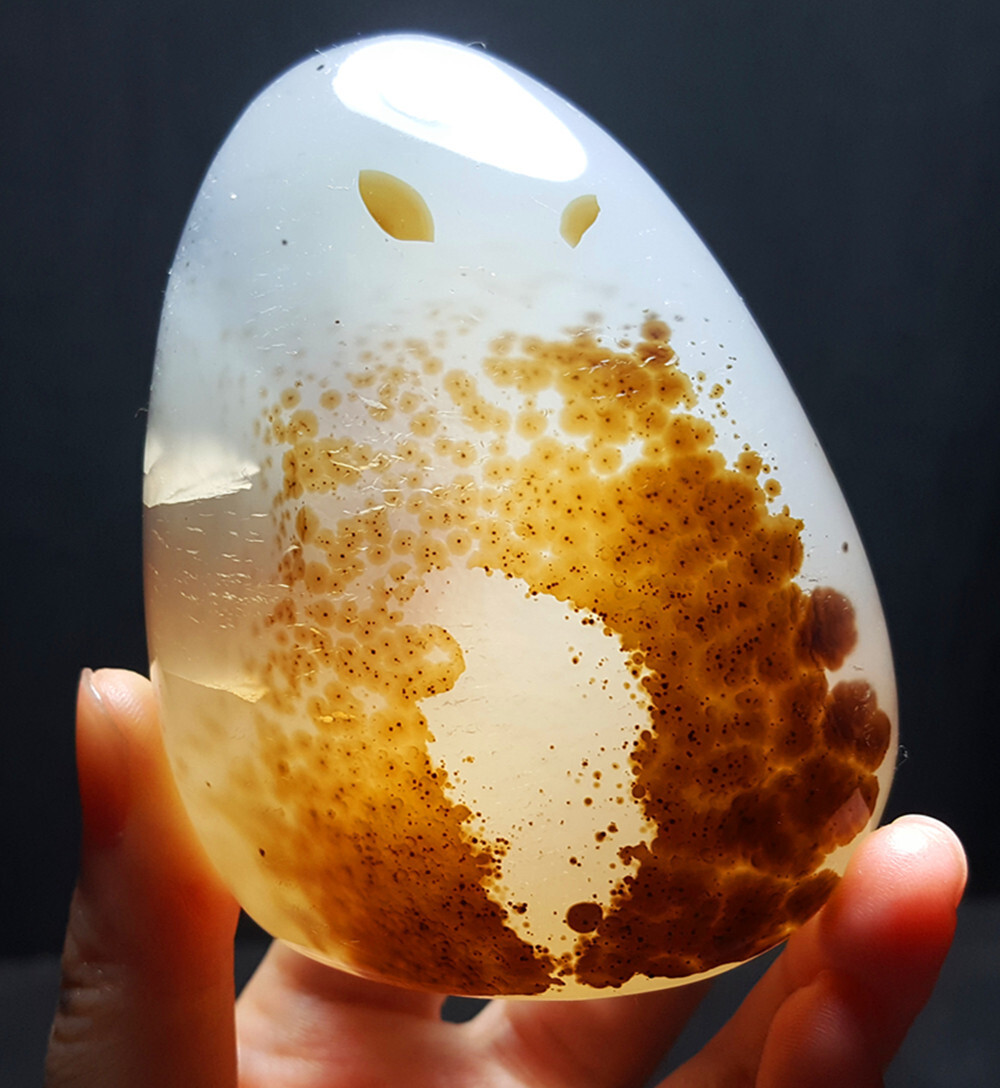 TOP 234.6 G Natural Polished Aquatic Plants Agate Crystal Madagascar   BWA718