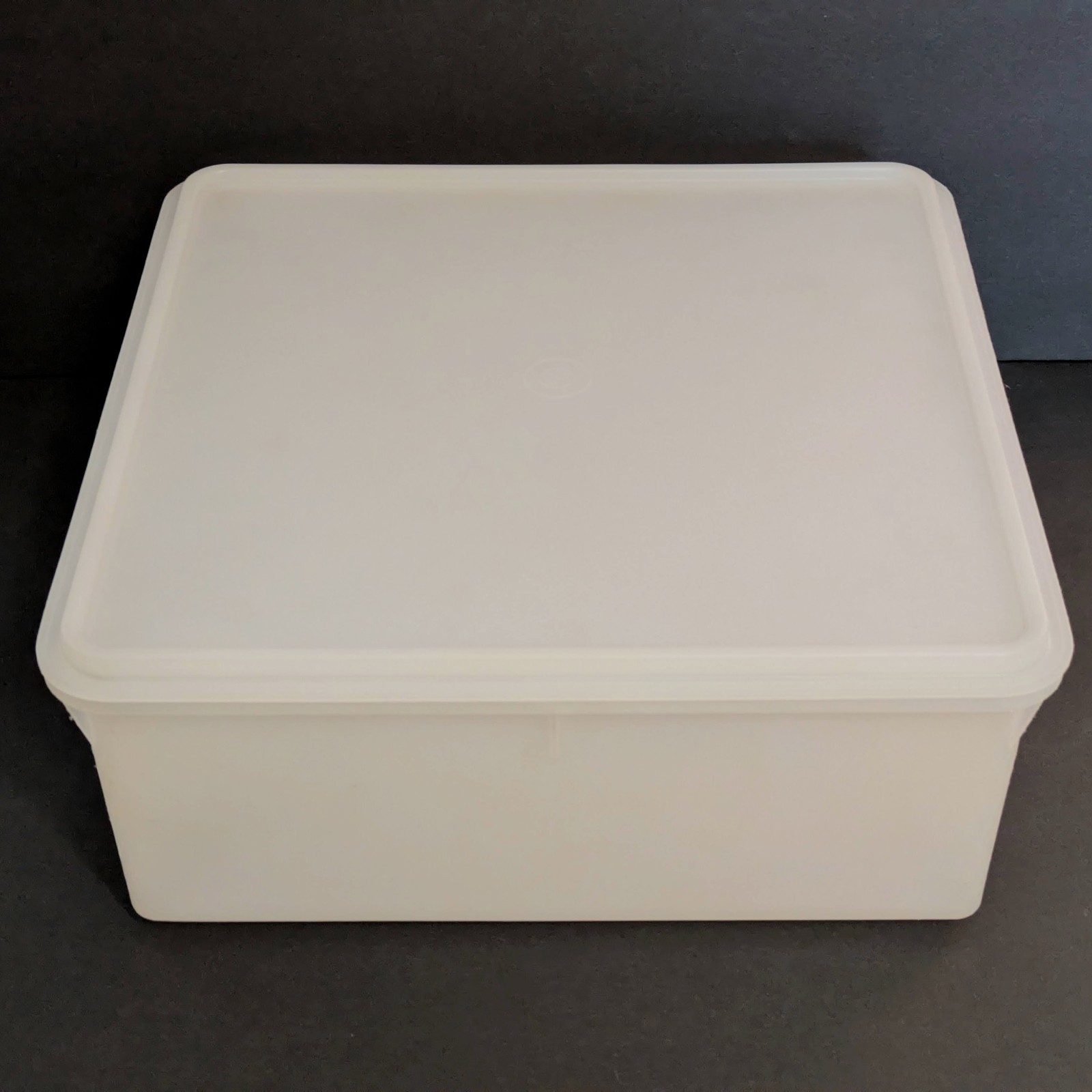 Vintage Tupperware 12x12x5 Jumbo Square Keeper Sheer #166 Container w/ #223 Lid
