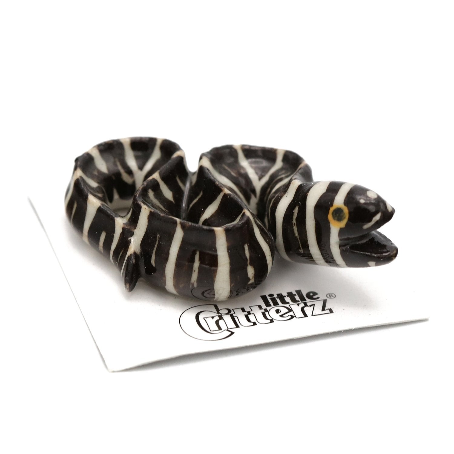 Little Critterz Fish - Zebra Moray Eel 