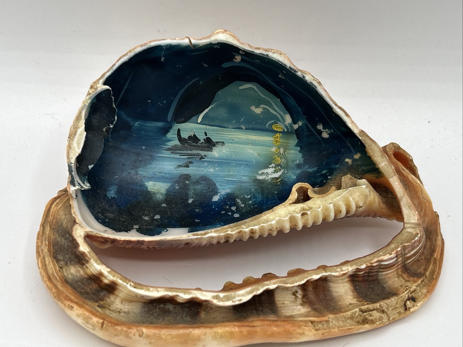 Vintage Handpainted Conch Shell Isle Of Capri Dated 1958
