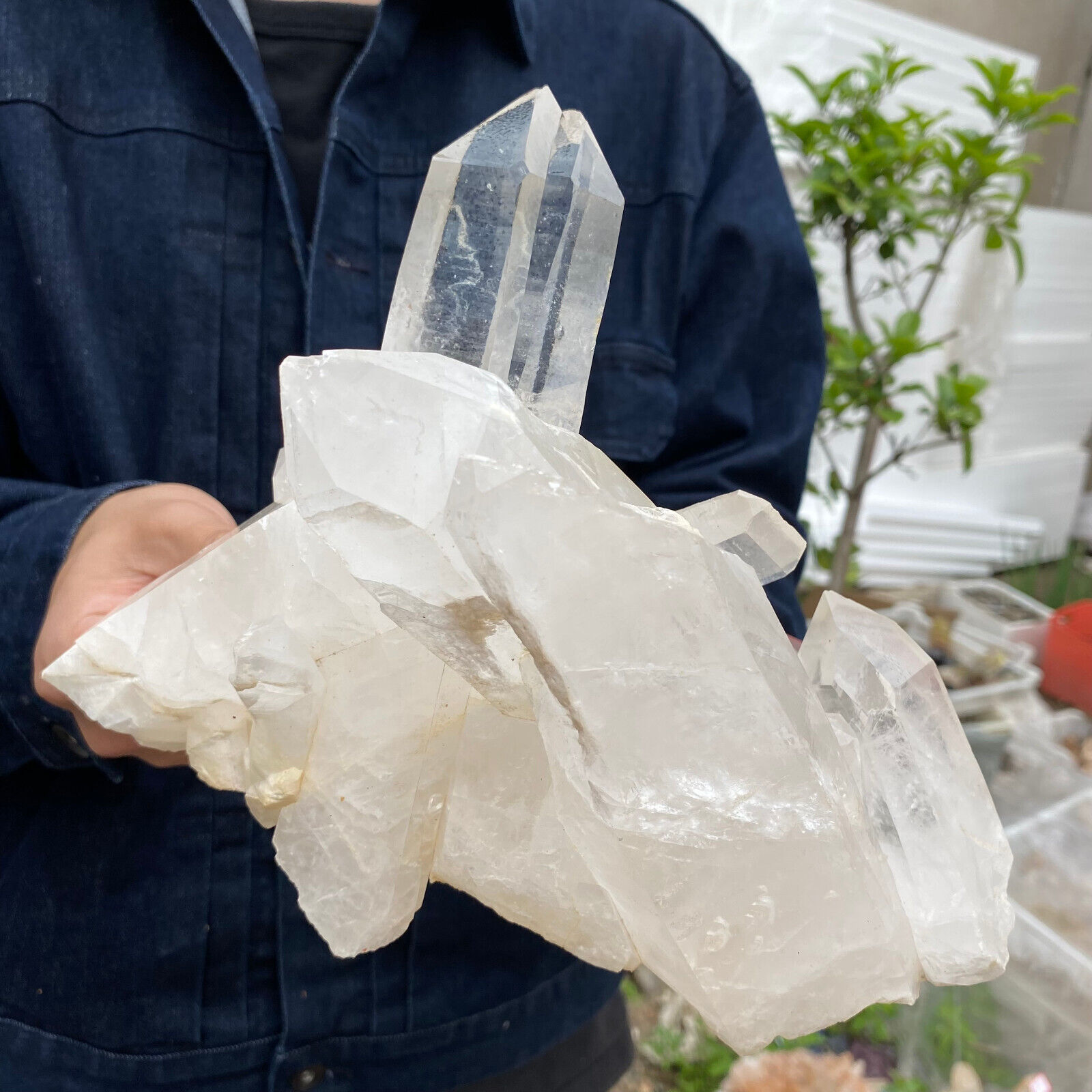6.1lb Large Natural Clear White Quartz Crystal Cluster Rough Healing Specimen
