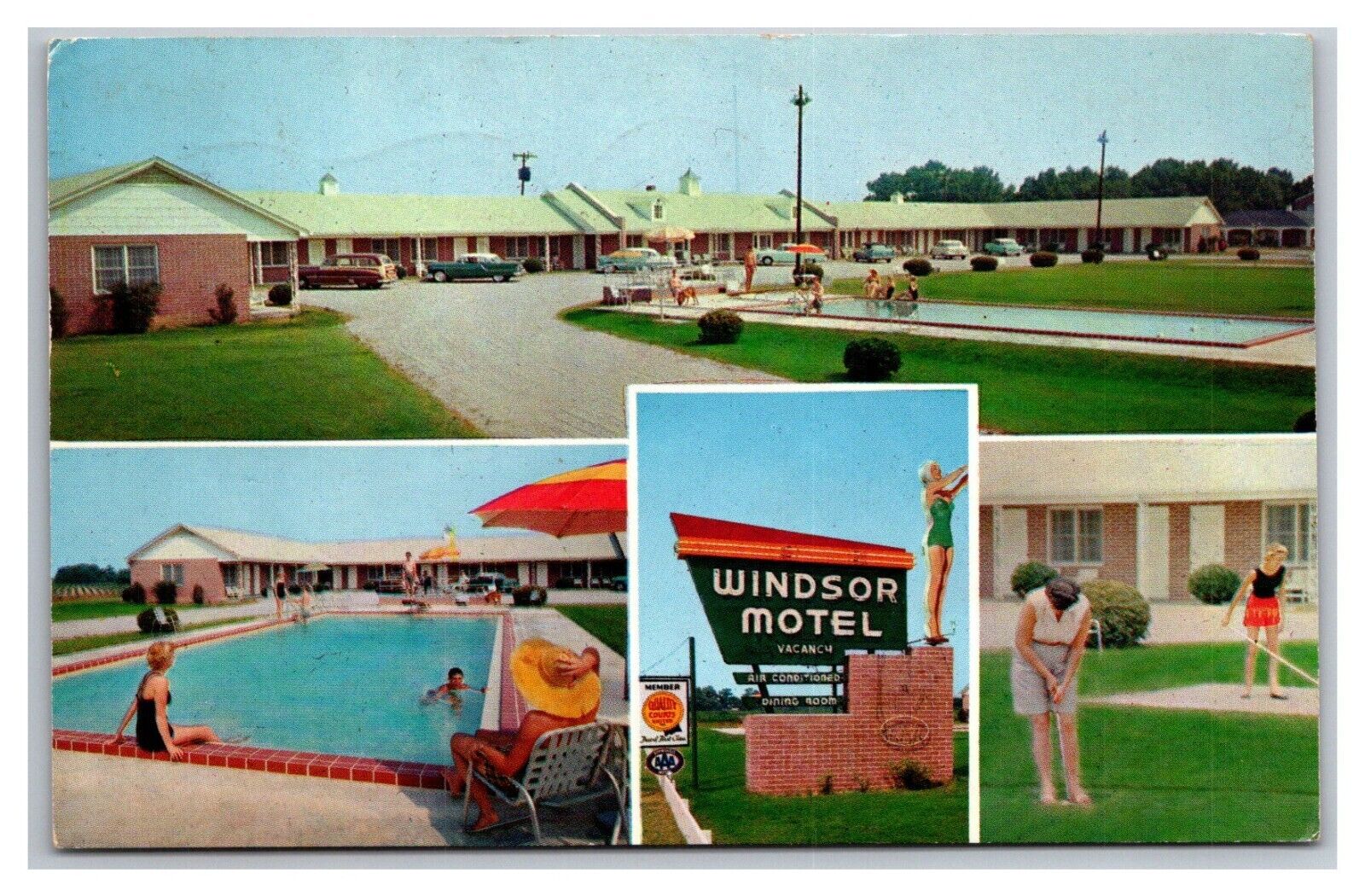 Postcard Summerton South Carolina Windsor Motel and Dining Room AAA