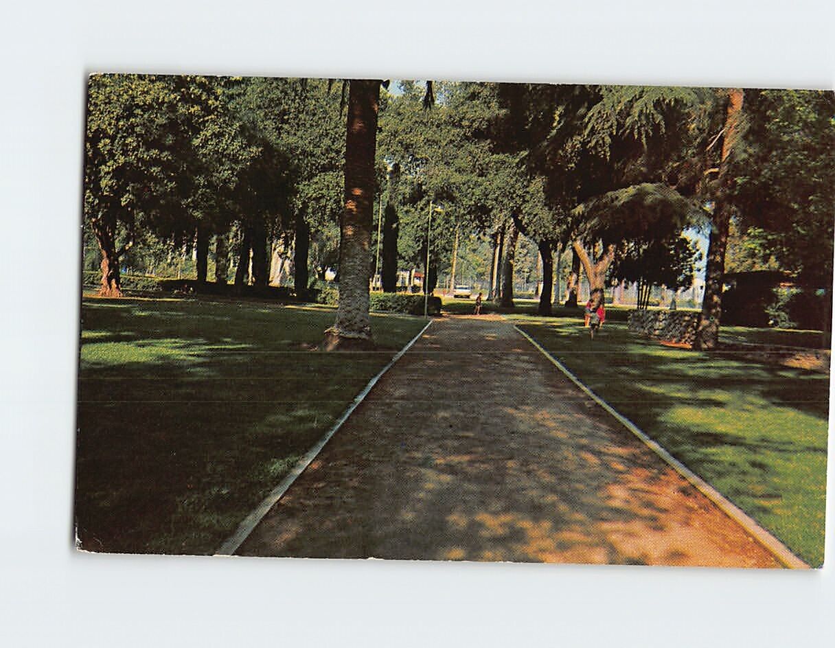 Postcard Sylvan Park Greetings from Redlands California USA