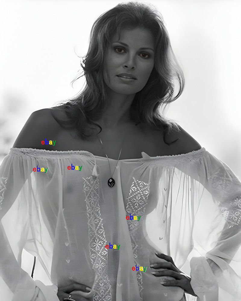 RAQUEL WELCH ACTRESS HOLLYWOOD LEGEND 8