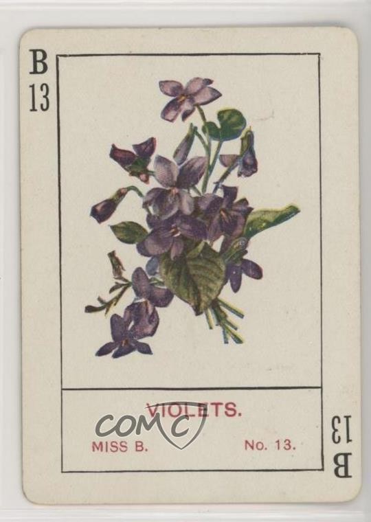 1905 Cincinnati Game Co Flowers Violets #B13 0w6