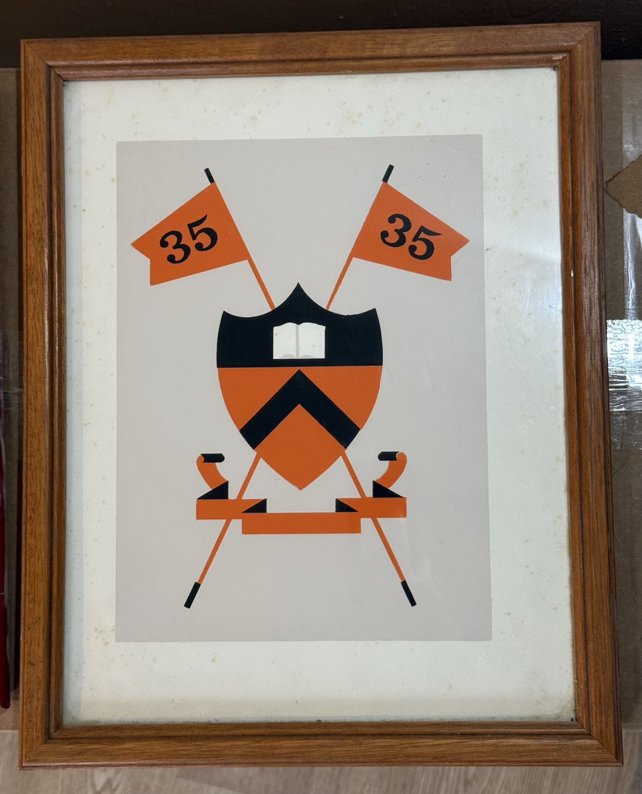 Vintage Princeton University Class of 1935 Framed Reunion Print
