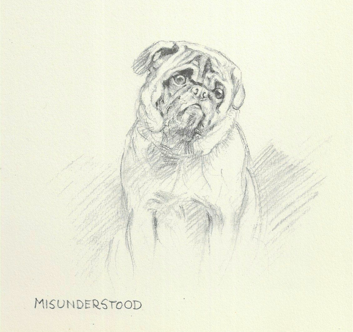 Pug \ Pug \