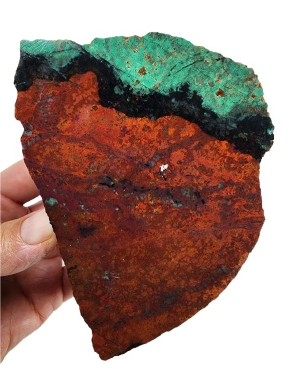 Sonora Chrysocolla Faced Rough Mexico 1lb 2.8oz