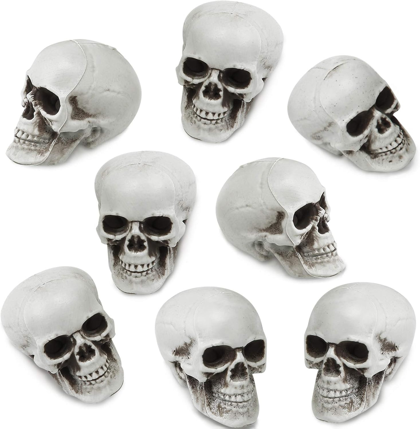 8 Pcs Halloween Small Skull Heads, 2.4 in Skeleton Skulls for Decor