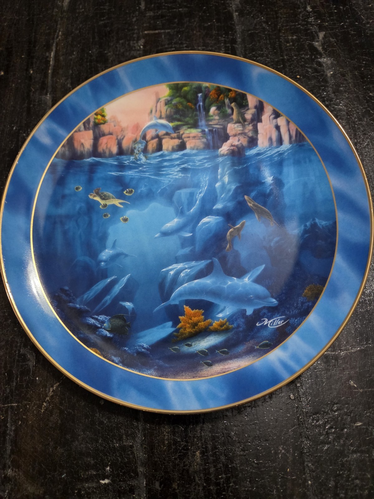Franklin Mint Where Dolphins Dance Conservation Limited Edition Plate