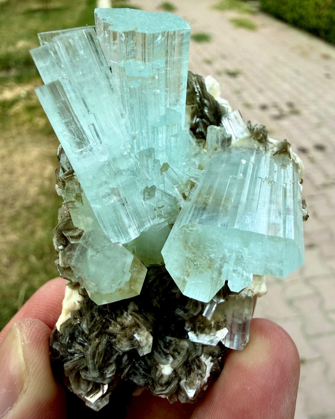 Beautiful Aquamarine Terminated Crystal With Muscovite Combine Specimen 370 CTS