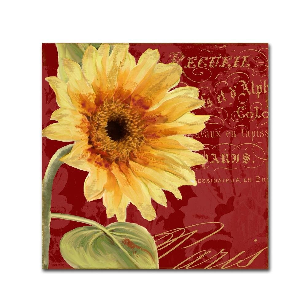 Trademark Fine Art \'Ete IV\' Canvas Art 24x24 Trademark Fine Art \'Ete IV\' Canvas Art 24x24
