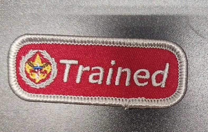Commissioner Trained Silver strip Boy Scout- Non BSA