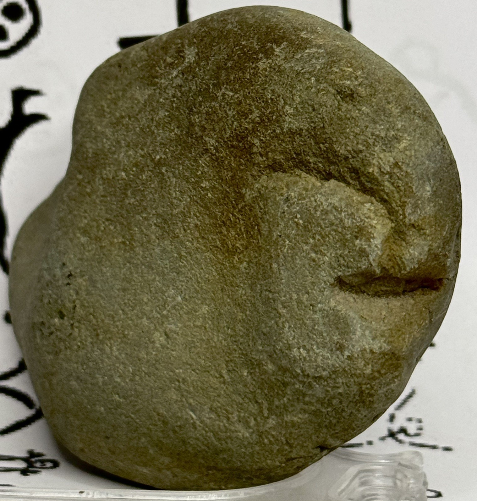 Native American/Man Made Authentic Hand Carved Ancient Stone Effigy, 9.5  oz 