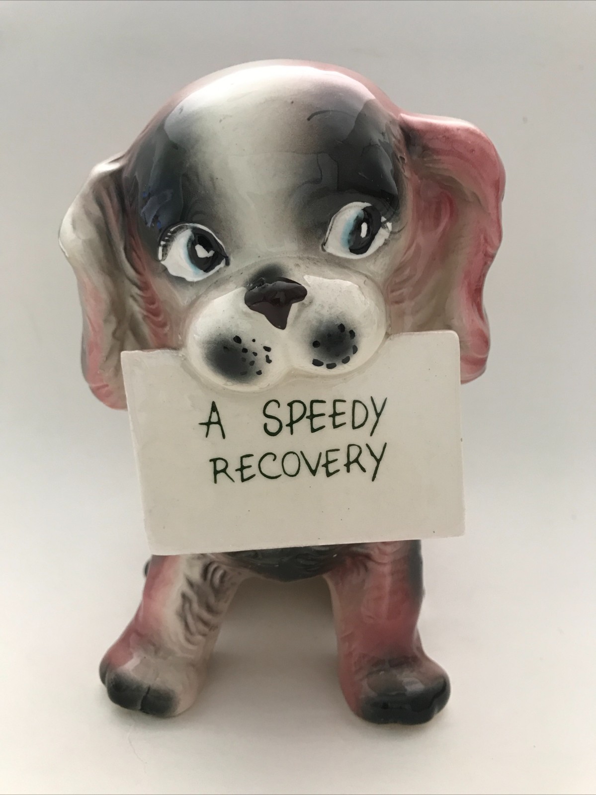 Cocker Spaniel Speedy Recovery Get Well Puppy Dog Ceramic Planter UCAGCO Japan