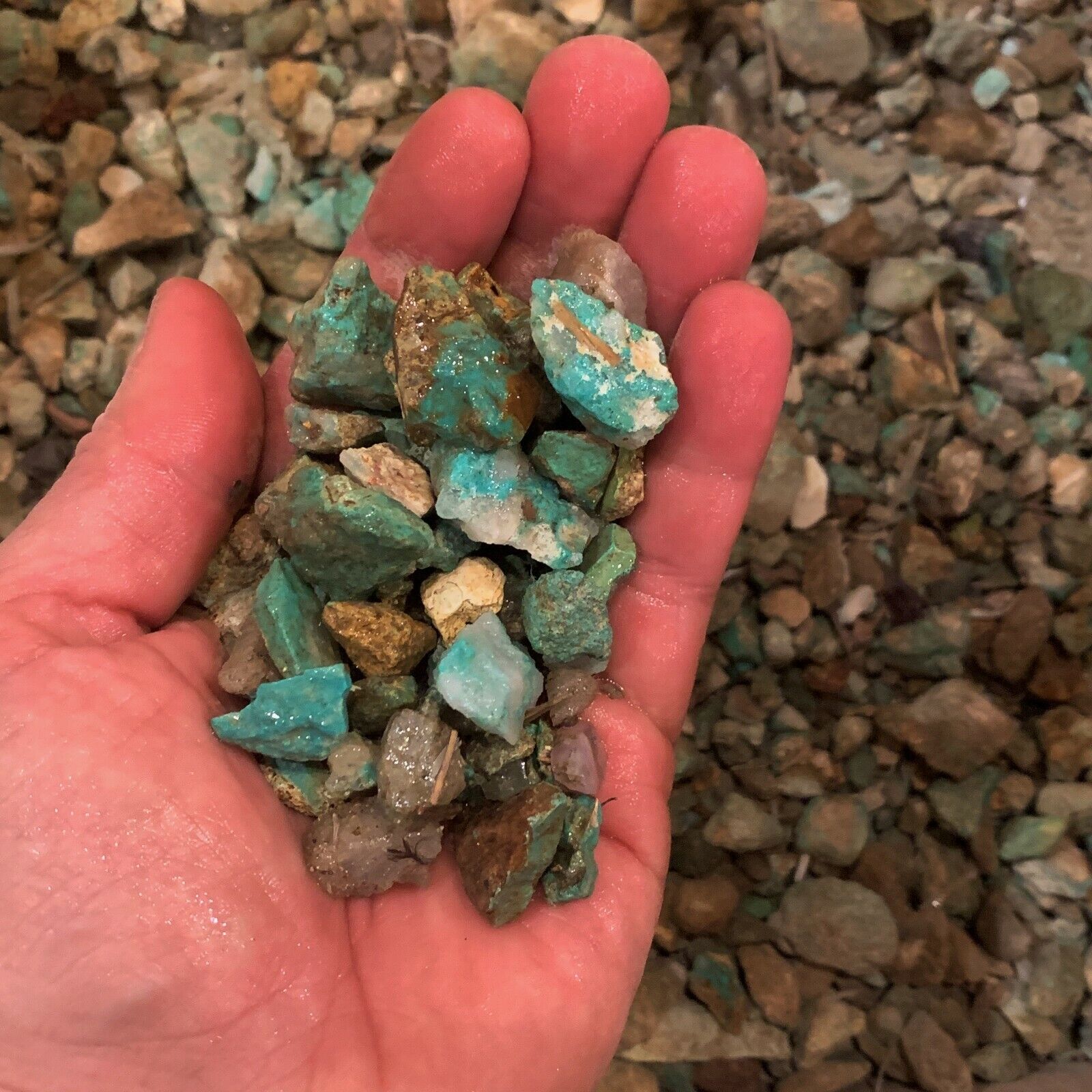 500 Carat Lots of SMALL Natural Turquoise  Rough + a Free Faceted Gemstone