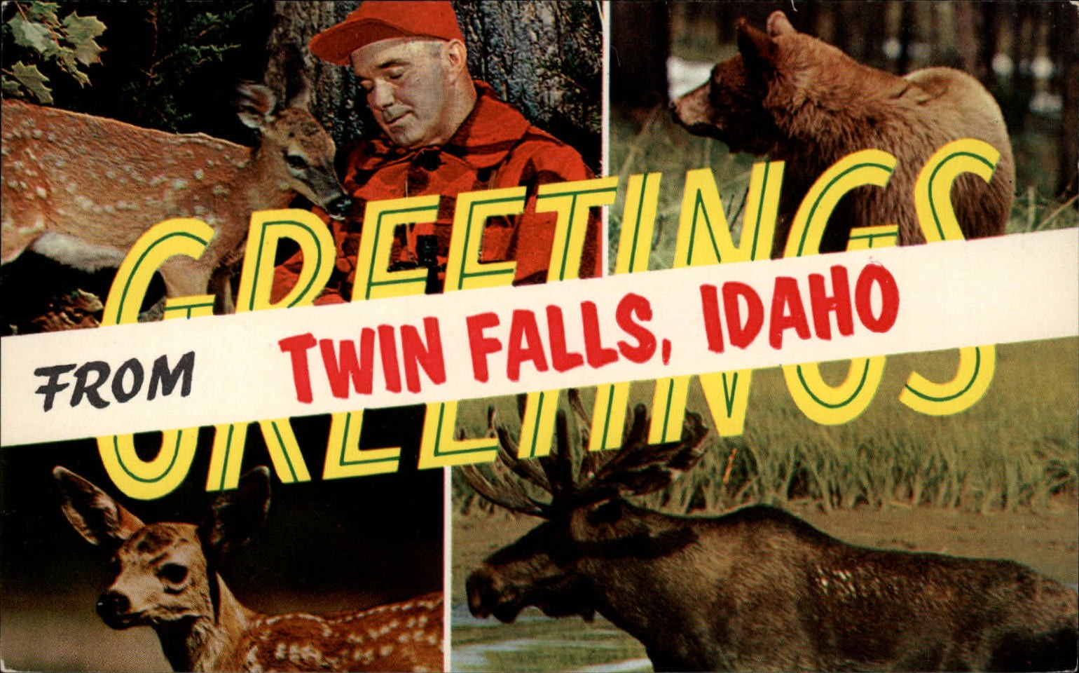 Idaho Twin Falls Greetings large letter multiview ~ 1950s-60s postcard sku965