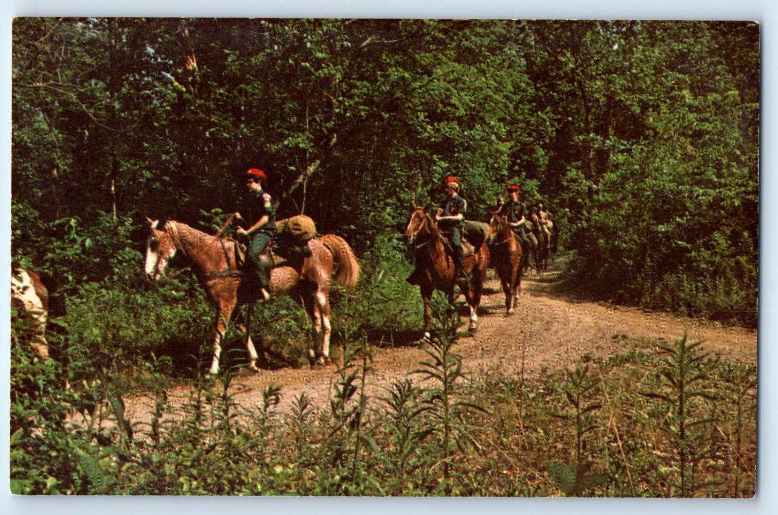 c1940's Boy Scouts Riding Horse Scene Field Trees Unposted Vintage Postcard c1940's Boy Scouts Riding Horse Scene Field Trees Unposted Vintage Postcard