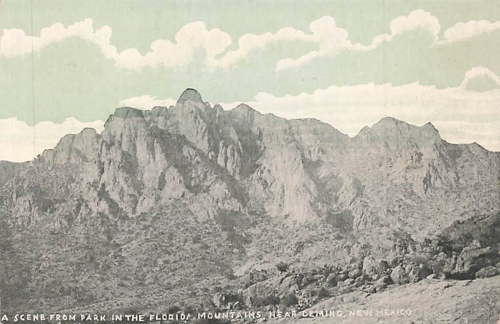 c1910 Scene Park Florida Mountains Near Deming New Mexico NM  P438