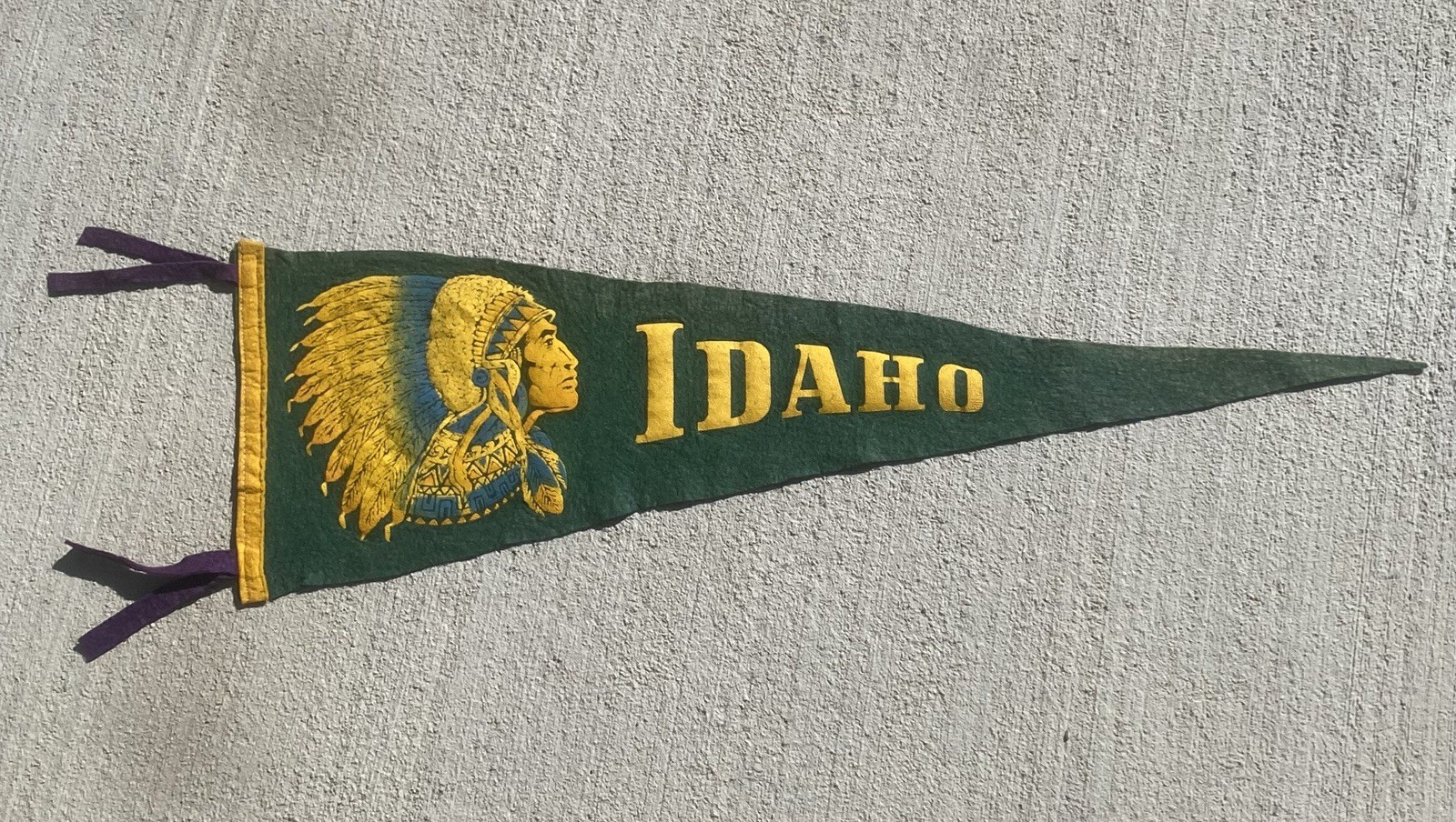 Vintage 1950’s Idaho Souvenir Felt Pennant 25” Native Chief Tourist Antique Rare