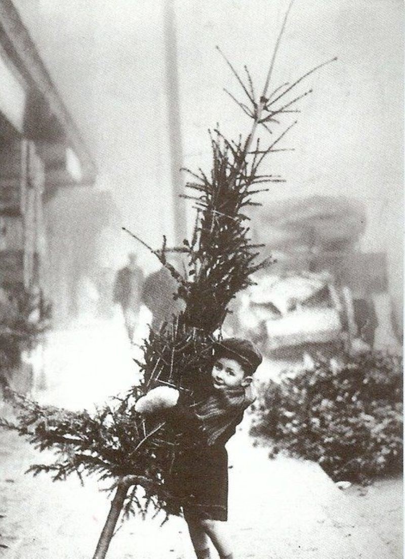 Vintage Christmas/Early 1900\'s/BOY DRAGGING HOME CHRISTMAS TREE/4X6 B&W Photo Rp