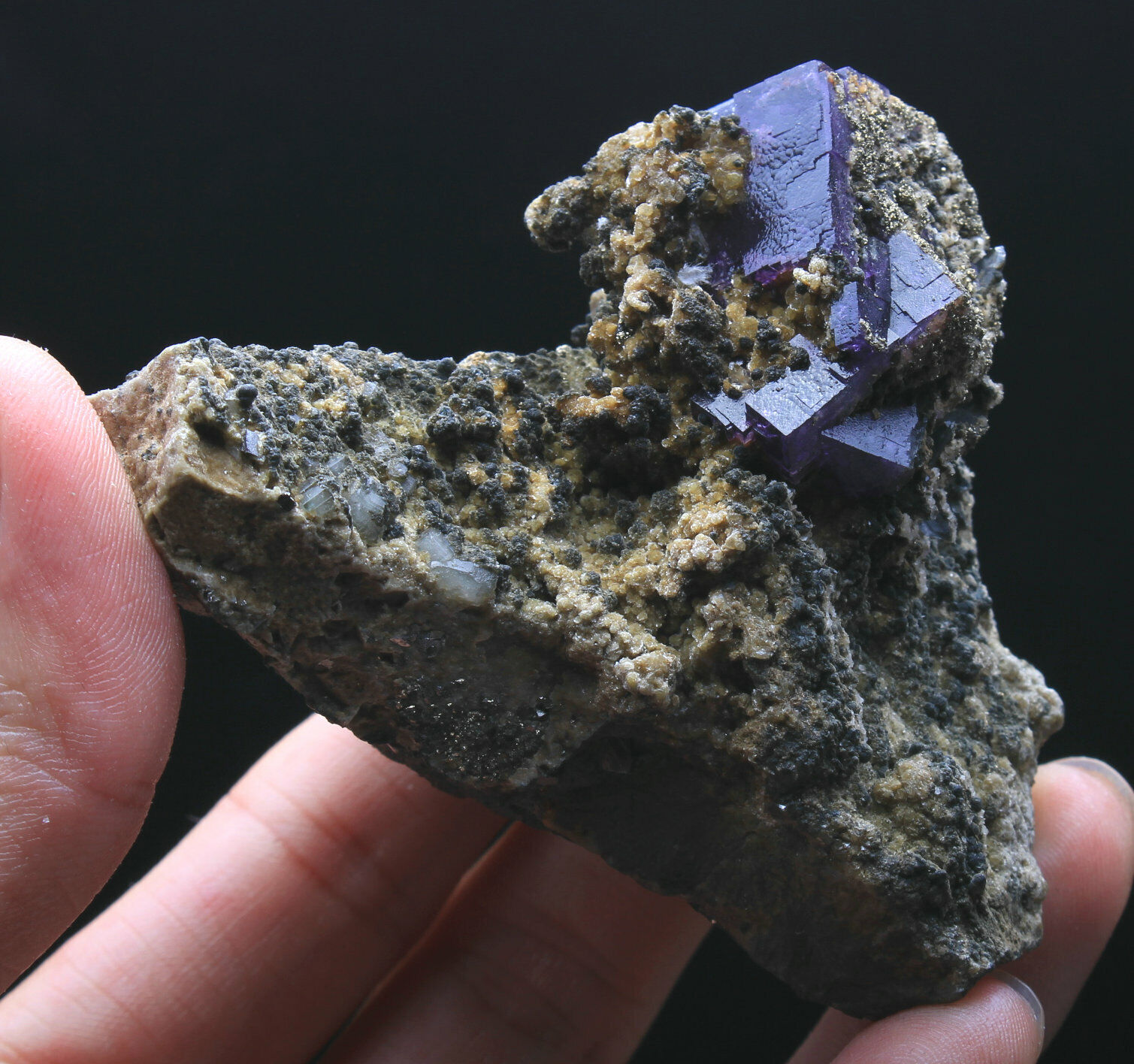 225g Rare Beauty Purple Cube Fluorite & pyrite Symbiosis Specimen/China