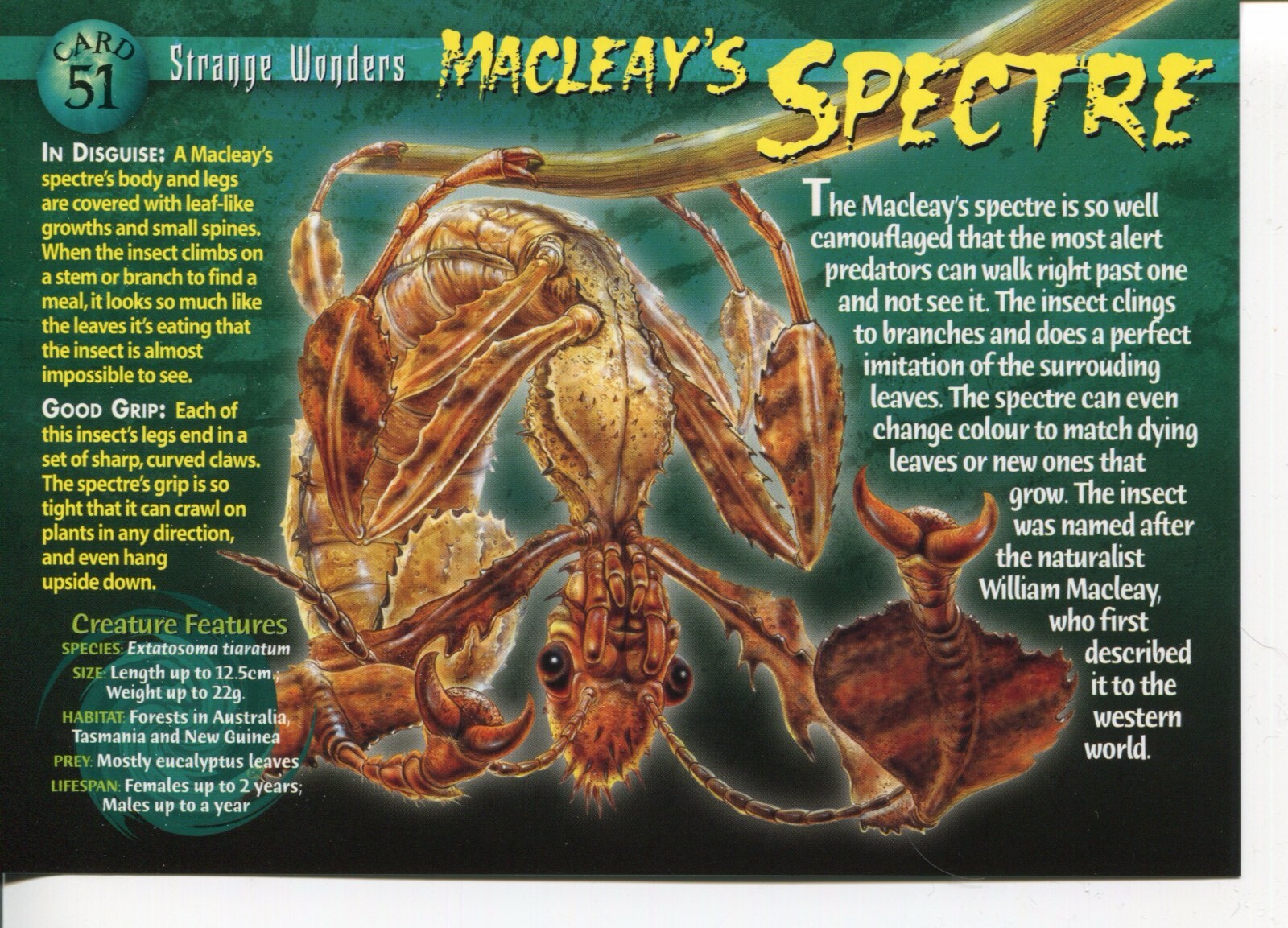 Weird N’ Wild Creatures Strange Wonders Card 51 # Macleay\'s Spectre # LC6