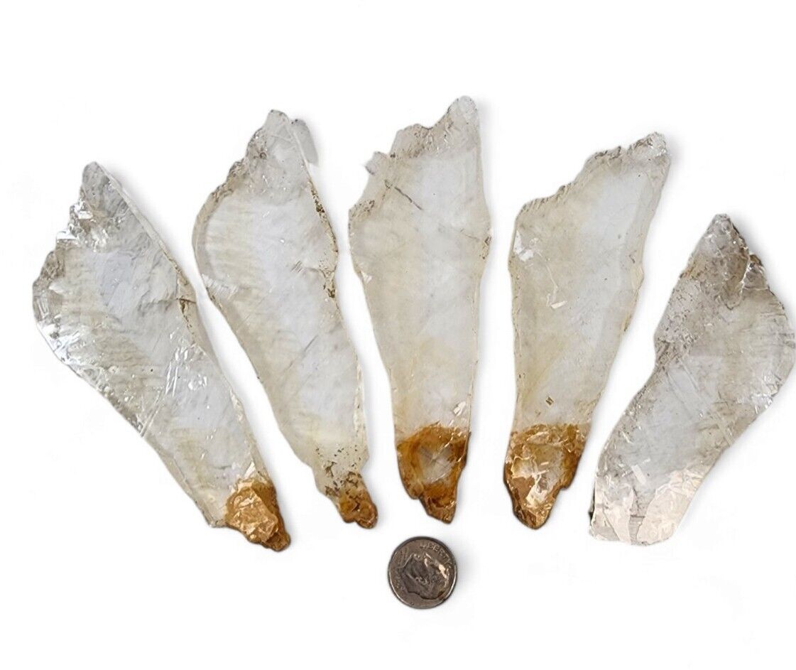 Golden Healers Phantom Selenite Crystals Utah 204 grams. 5 Piece Lot
