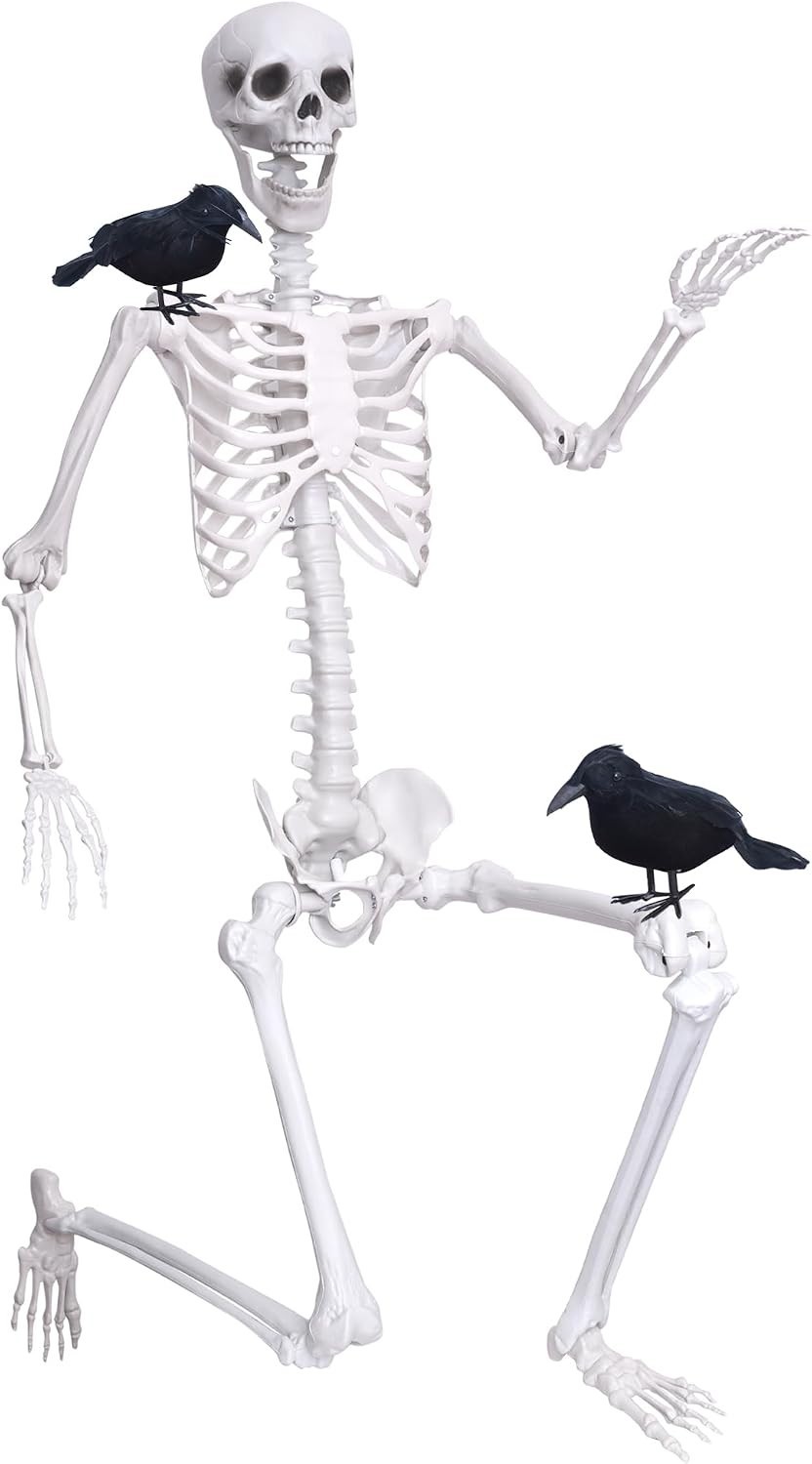 Wocst 6Ft Life-Size Posable Skeleton with Movable Joints, Full Body Halloween Sk