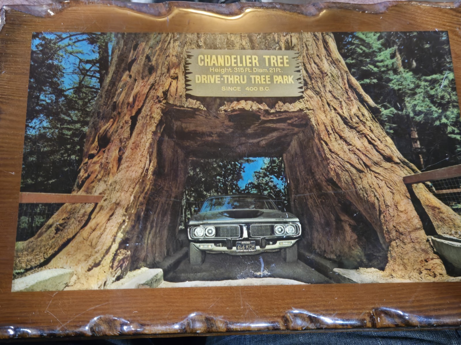 Vintage Redwood Wall Plaque Chandelier Drive-Thru Tree Leggett CA Souvenir 70s
