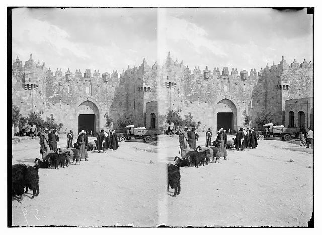 Photo:Jerusalem Israel 1910s City Gates Market Scene Stereograph