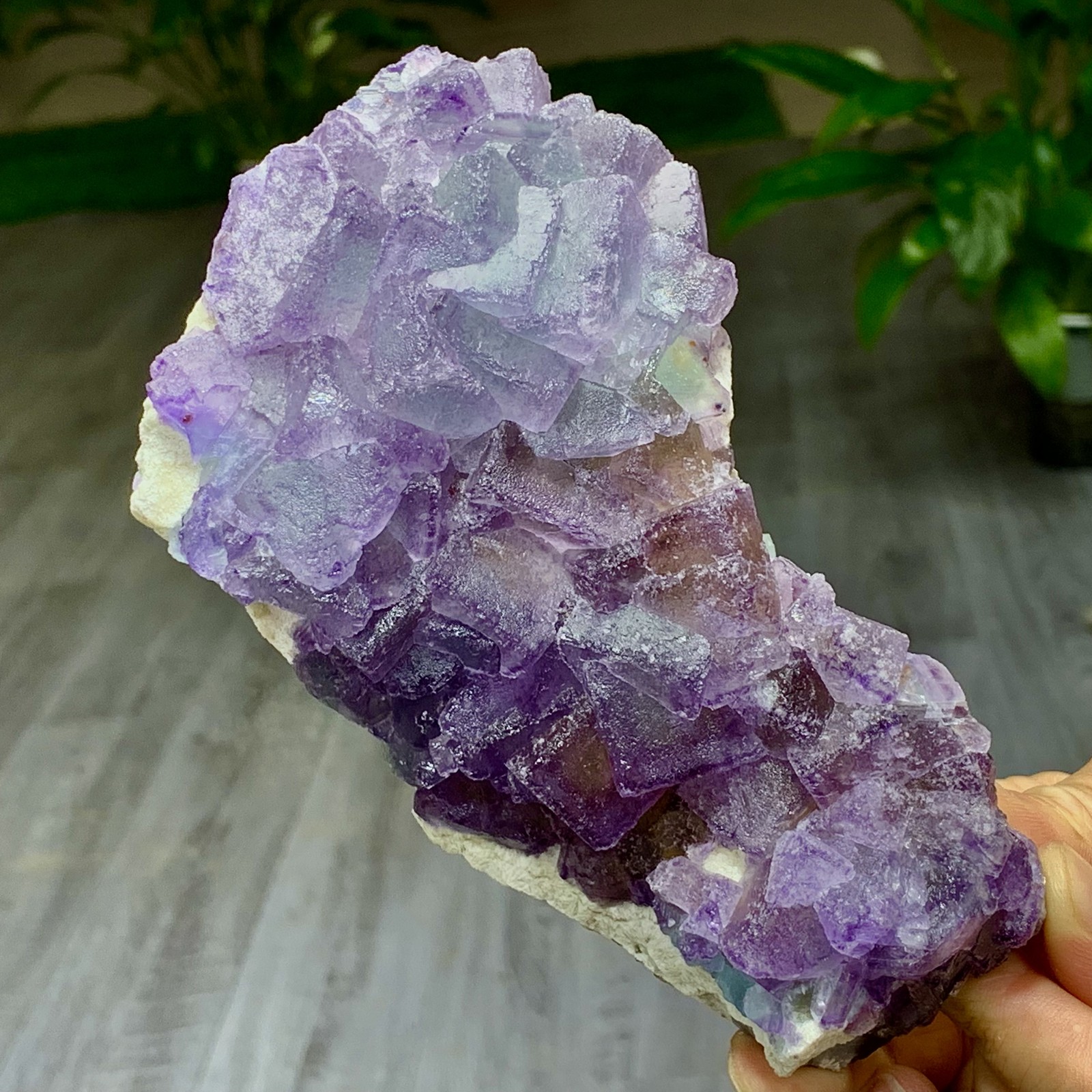 2.38LB Natural Crystal Rare transparent purple green cubic fluorite sample/China