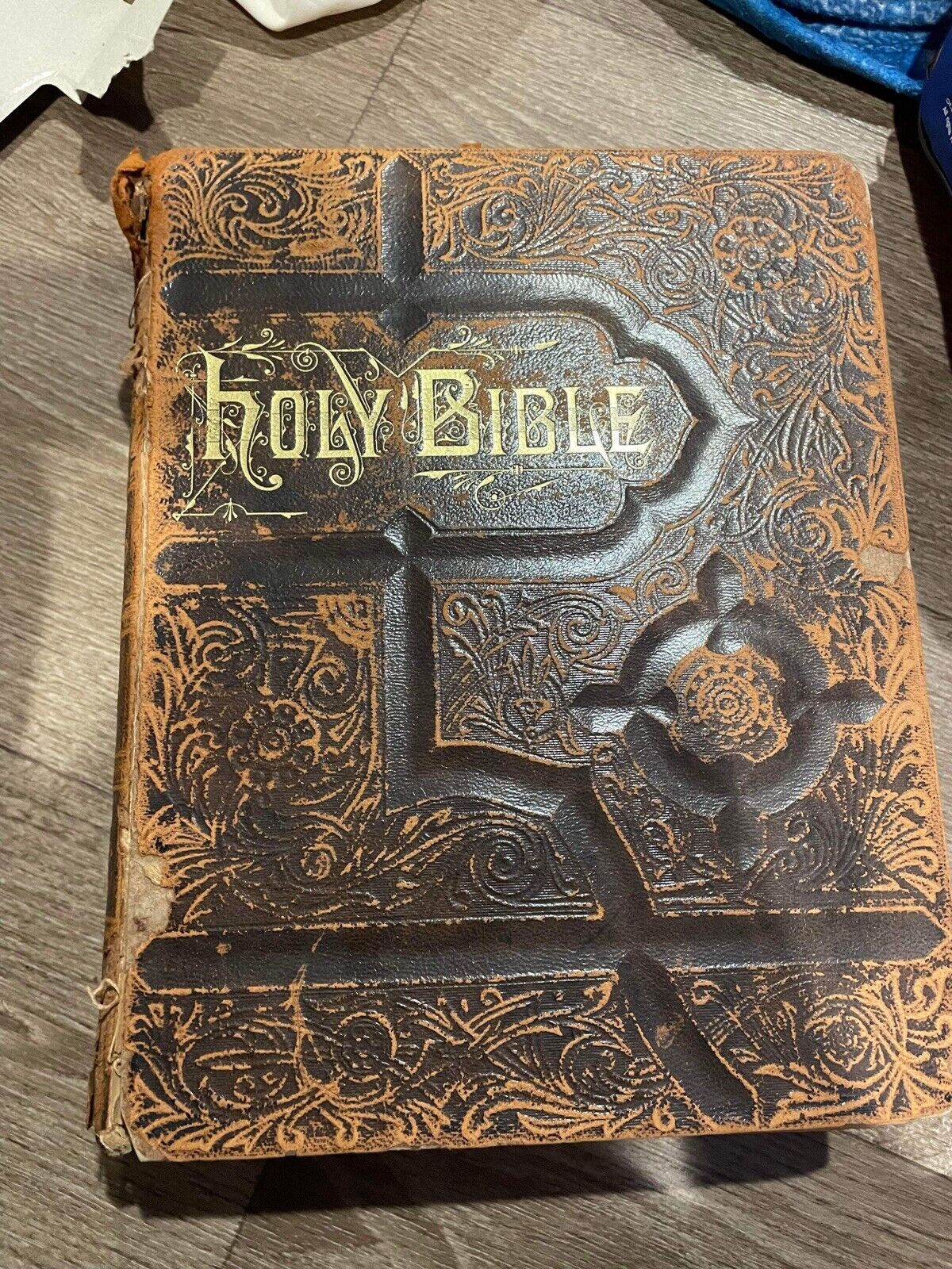 1886 Bradley, Garretson & Co. Holy Bible  Leather Huge Antique