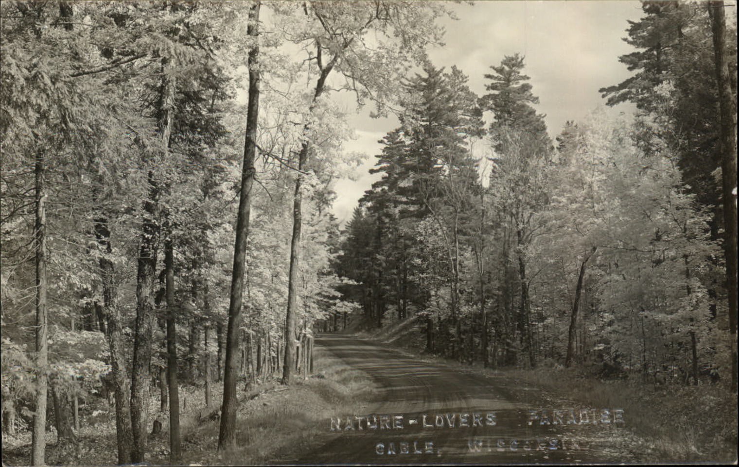 RPPC Cable Wisconsin woodland road blindstamp 1950 real photo postcard