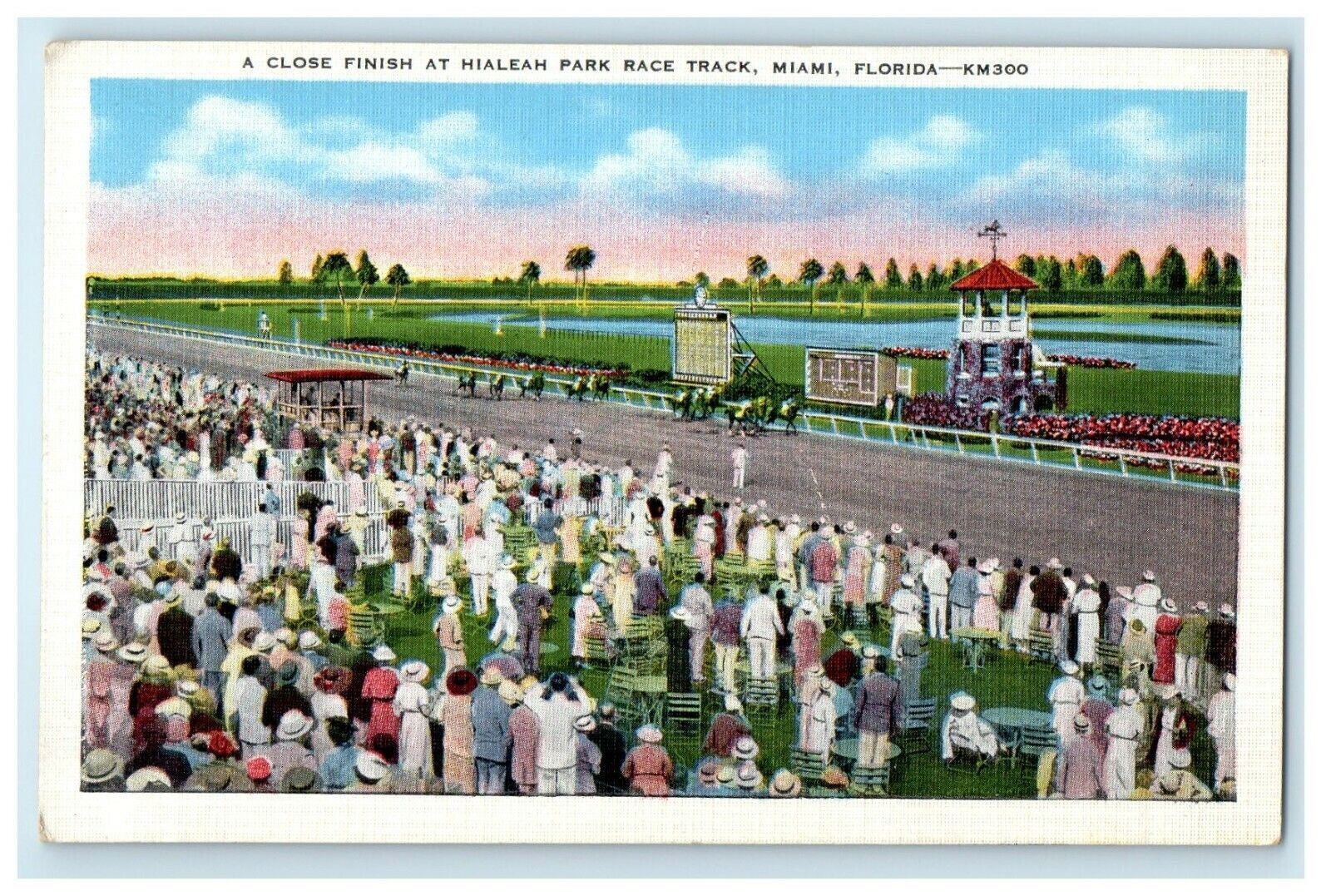 c1940's A Close Finish At Hialeah Park Race Track Miami Florida FL Postcard