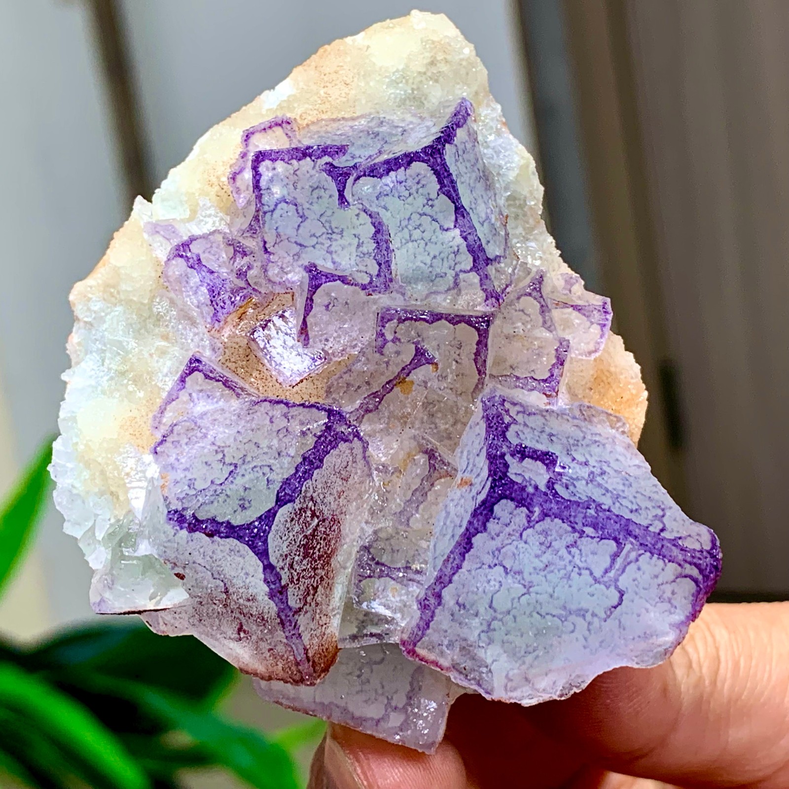 165G Natural Purple \