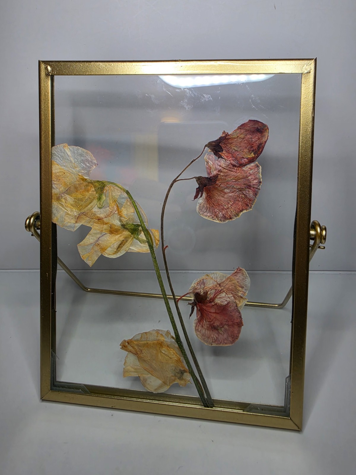 Gold Floating Frame Pressed Flower Art Botanical Glass Display Gold Floating Frame Pressed Flower Art Botanical Glass Display