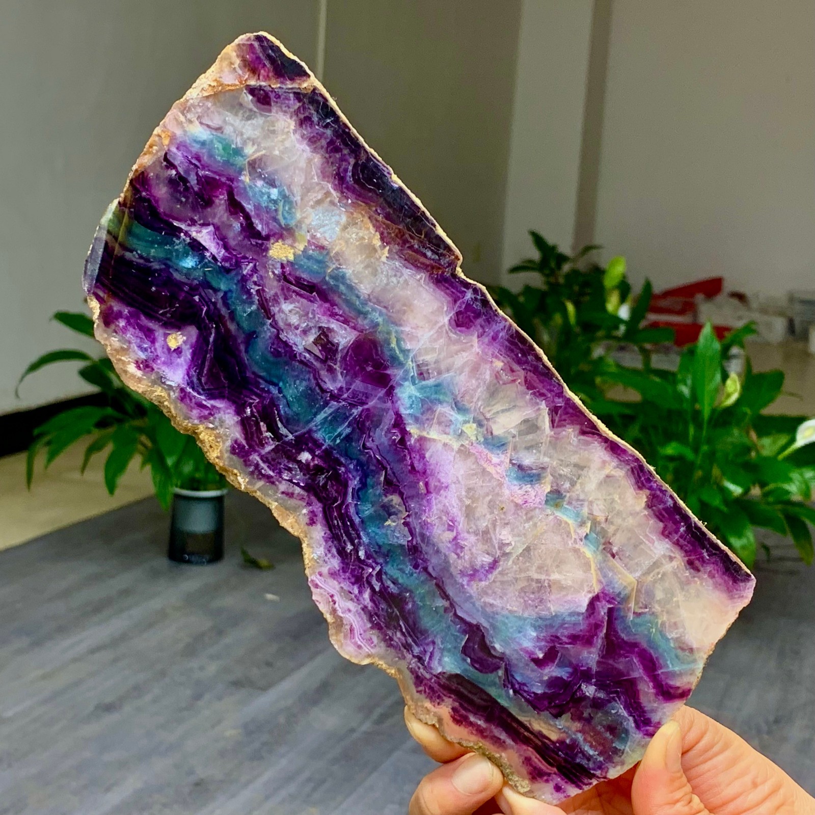 1.33LB Natural Rainbow Fluorite Slice Crystal Heal Quartz Ornament Decor