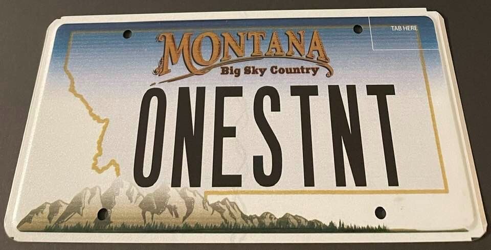 ONE STNT Vanity License Plate One Stent Heart Surgery Cardiovascular Surgeon