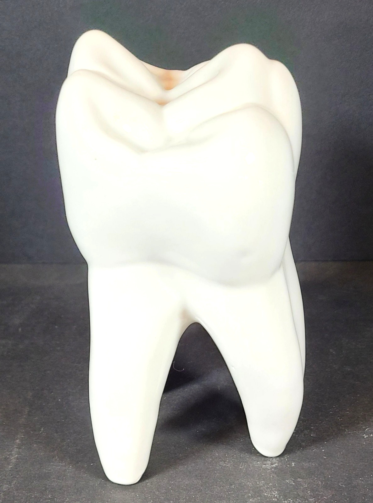 Vintage Porcelain Dental Tooth Display Model ~ 6\