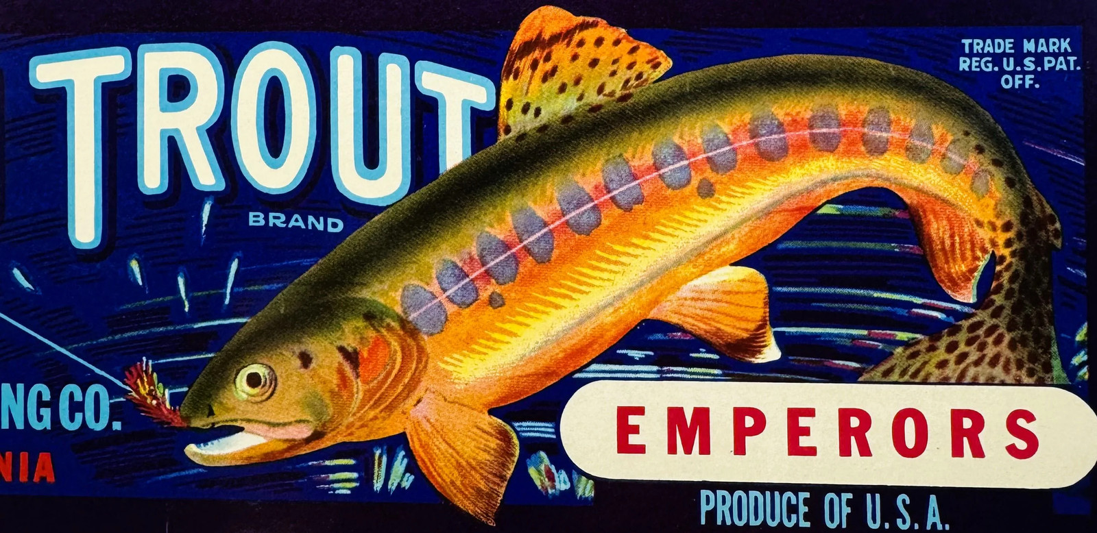 1940s Golden Trout Emperor Grapes Crate Label 🐟 Cosart Exeter CA NOS