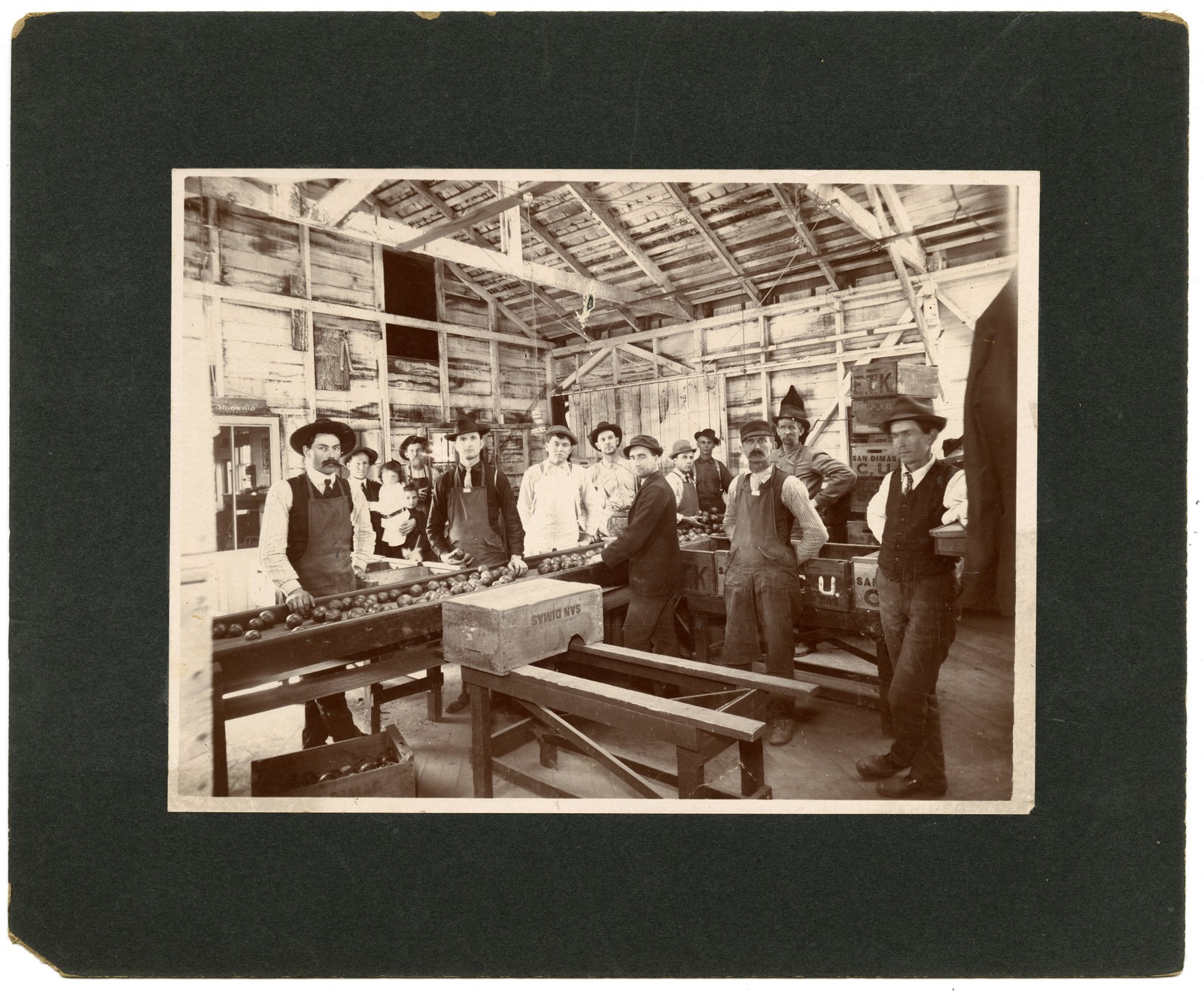 Trio of 1910s Photos of Industrial Orange Packing House, San Dimas, California
