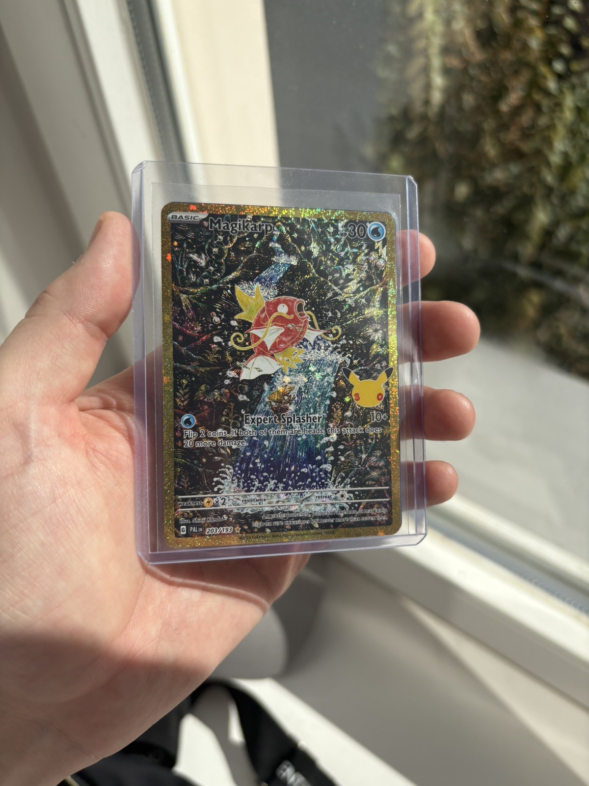 Pokémon TCG Magikarp 30th anniversary Pokémon TCG Magikarp 30th anniversary