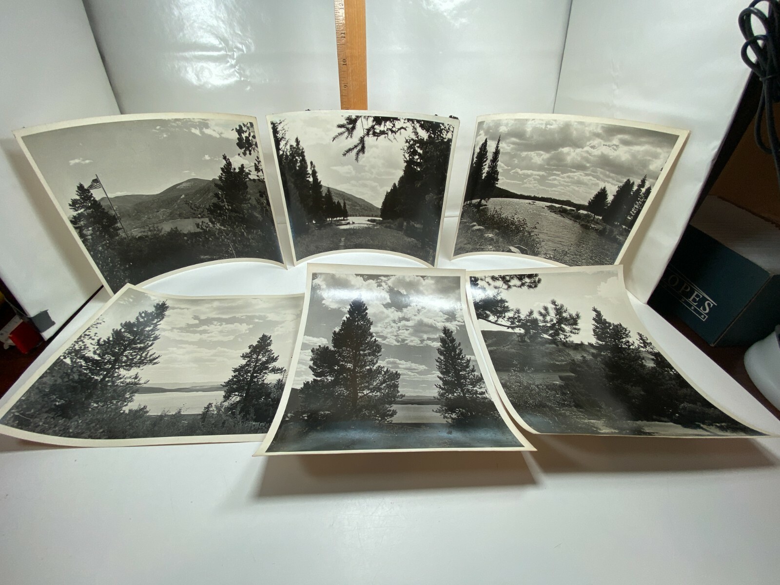 Vintage Lake Mountain Canoe Boat Flag Pine Fir Tree 1956 8x10 Photographs BW