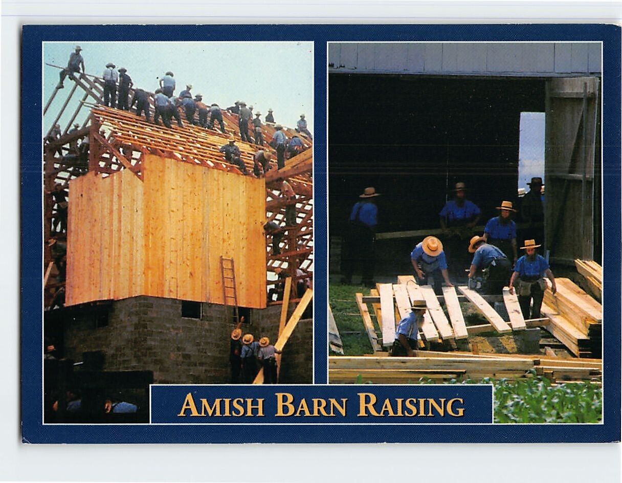 Postcard Amish Barn Raising, Greetings From 