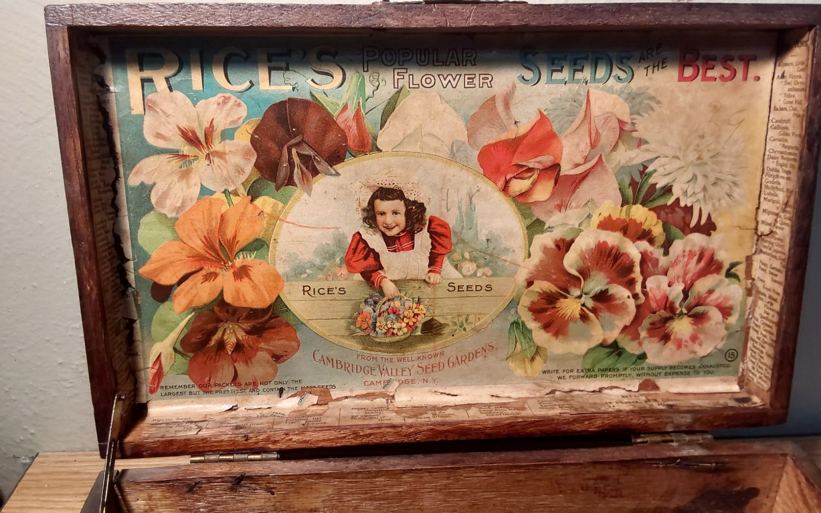VINTAGE \'\'RICE\'S POPULAR FLOWER SEEDS\'\' COUNTER TOP ADVERTISING DISPLAY BOX