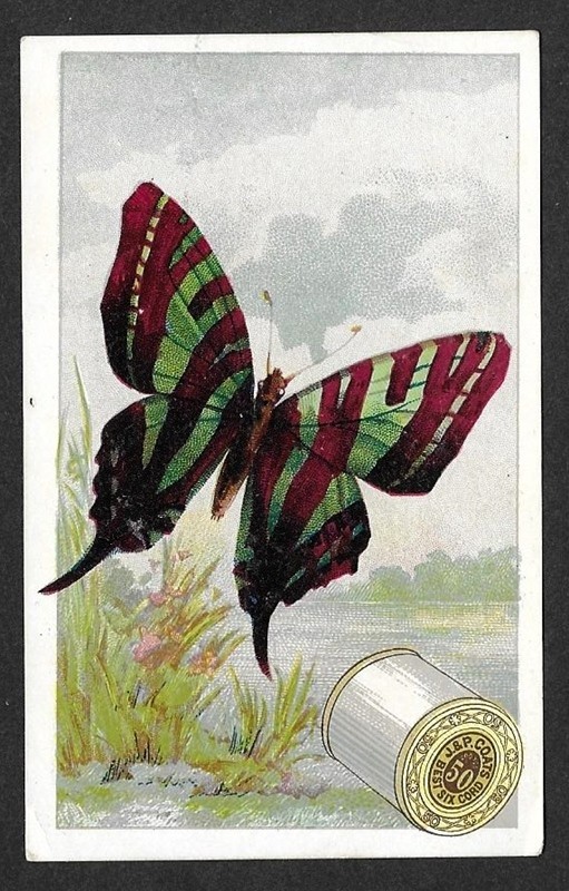 Victorian Trading Card - J&P Coat\'s - \