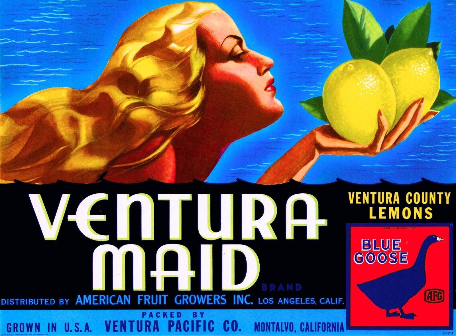 Ventura Maid Brand Lemon Montalvo Santa Barbara Citrus Fruit Crate Label 11x17